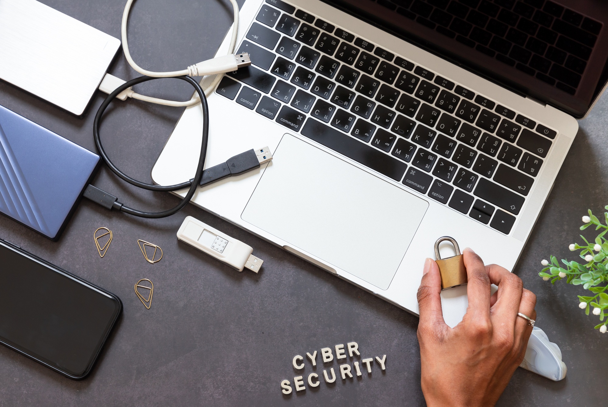 Cybersecurity Risks and Best Practices Zimbabwe